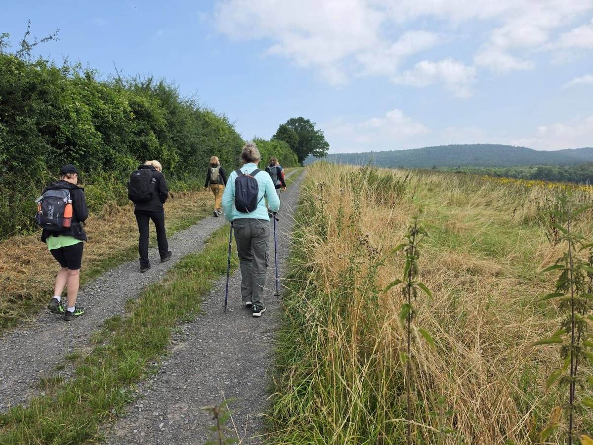Wandergruppe mit Weitblick