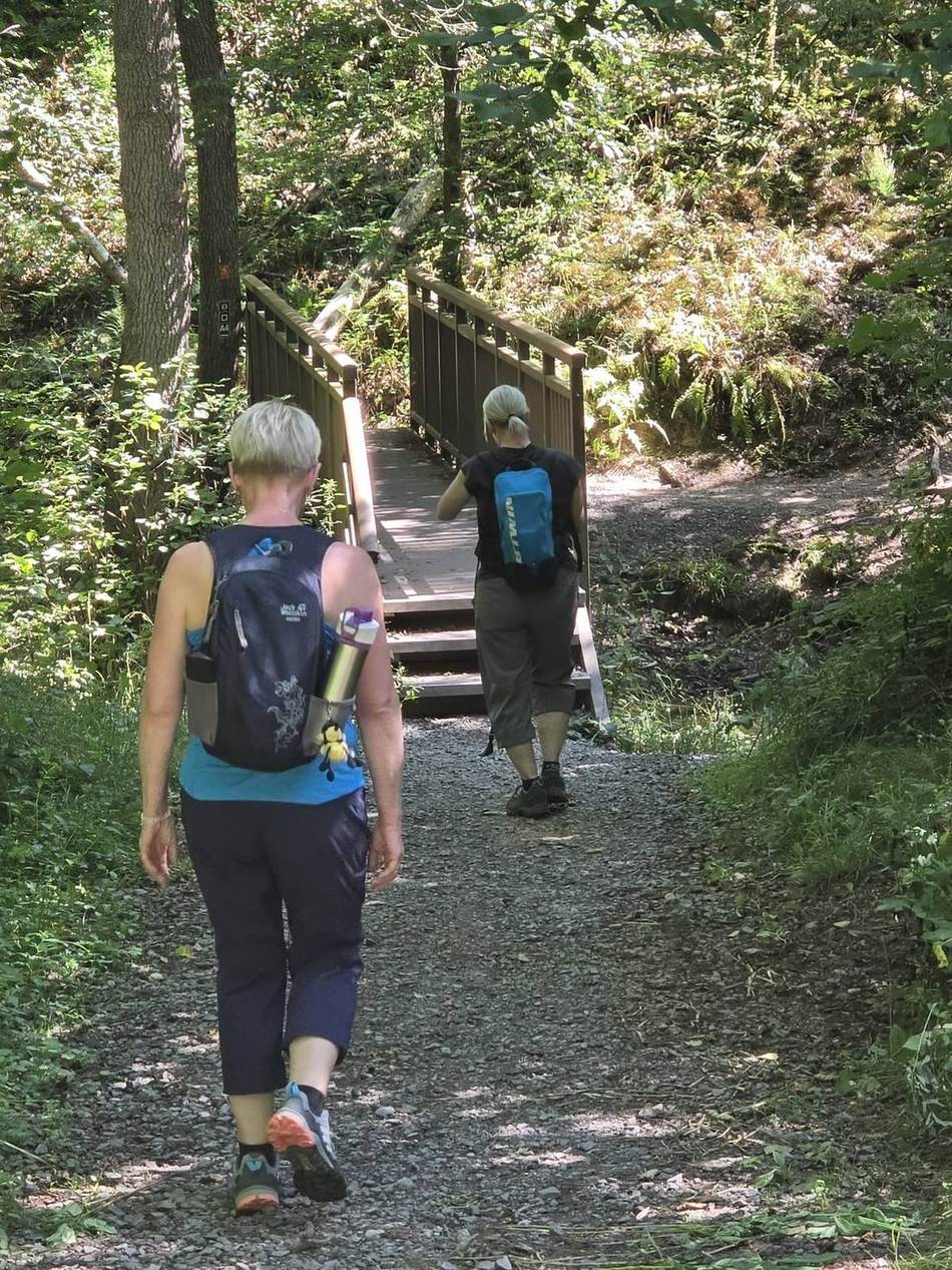 Frauen wandern über eine Waldbrücke
